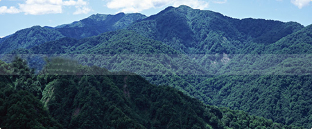 世界自然遗产白神山地 日本通
