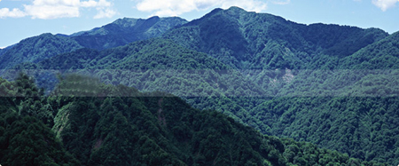 世界自然遗产 白神山地