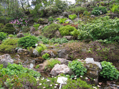 北海道大学植物园