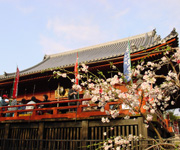 上野周边景点