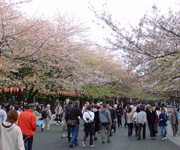 上野周边景点