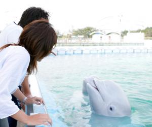 横滨八景岛海岛乐园