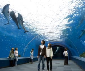 横滨八景岛海岛乐园