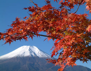 秋游日本富士山