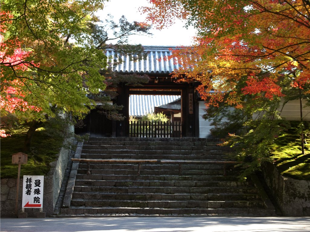 曼殊院 旅行者的内心庭园