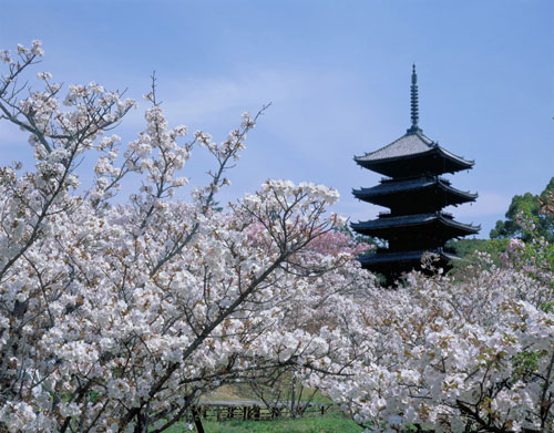 皇室御所仁和寺