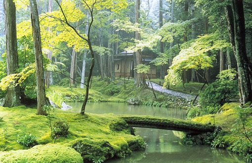 魔法深林西芳寺