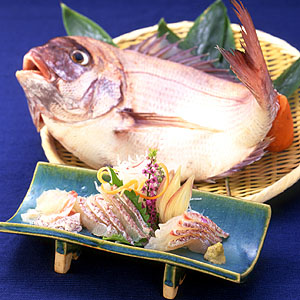 日本人最爱“鱼类之王：鲷鱼（鯛）