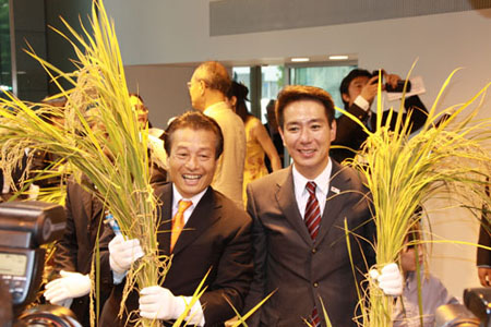 高楼大厦里收割水稻 繁华都市中的现代农园