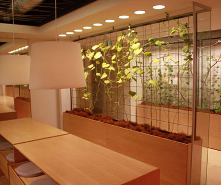 高楼大厦里收割水稻 繁华都市中的现代农园