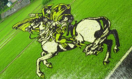 日本“稻田艺术节” 农民用水稻作画