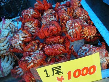 正是蟹肥时 日本人不爱闸蟹爱花蟹