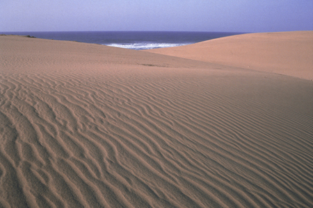 日本最大规模的海岸沙丘   鸟取沙丘