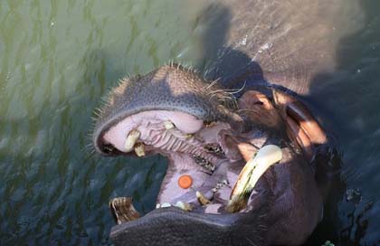 走进日本地狱之门 大分别府海地狱