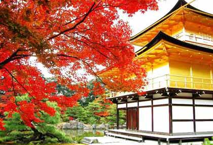 日本最美丽的建筑之一“金阁寺”