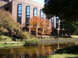 日本国立大学—筑波大学
