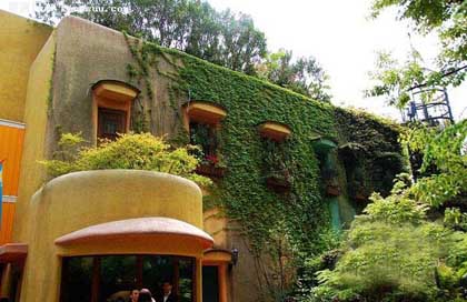 宫崎骏吉卜力博物馆和东京迪士尼乐园