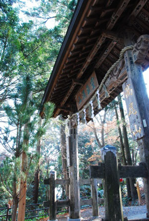 明治之森高尾国定公园高尾山 日本通 明治之森高尾国定公园高尾山 日本通