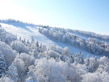 日本藏王温泉滑雪场