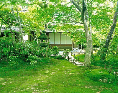 清幽静雅的日本庭院茶庭 日本通