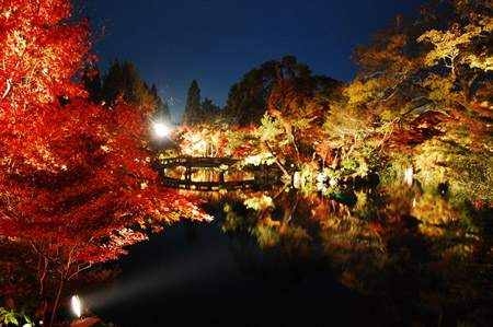 京都永观堂为迎接夜间赏红叶进行试亮灯