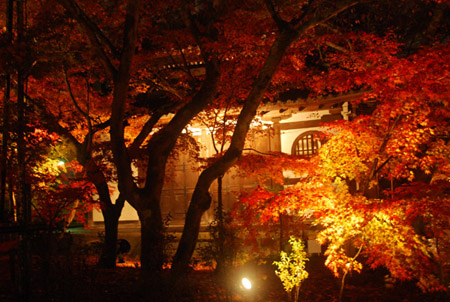 京都永观堂为迎接夜间赏红叶进行试亮灯
