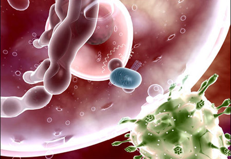 日本发现艾滋病毒增殖新机制　有助开发治疗药物