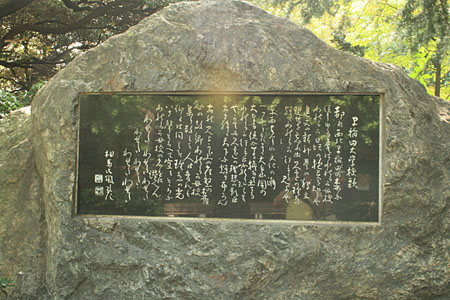爱恨交加的早稻田 感受神田书街的魅力
