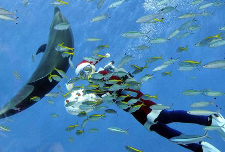 横滨水族馆开展迎圣诞节活动