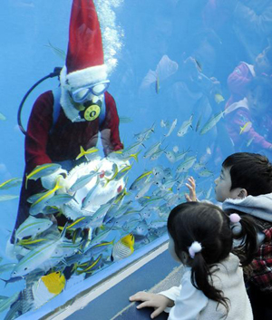 横滨水族馆开展迎圣诞节活动