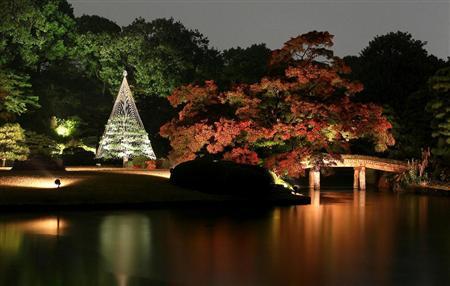 东京六义园 枫叶与灯光营造的幻想氛围