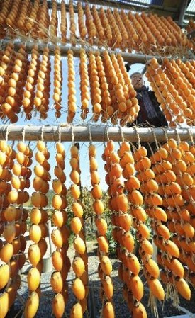 日本进入柿子干收获期 今年收成不好