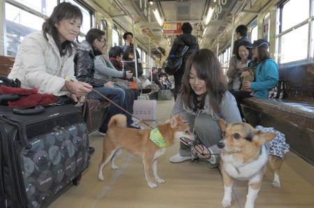 日本西武铁道开通可带家犬乘坐的临时电车