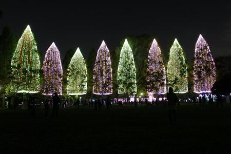 东京都足立区举行“光之祭典2010”