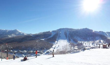 长野县东北部的滑雪圣地 志贺高原