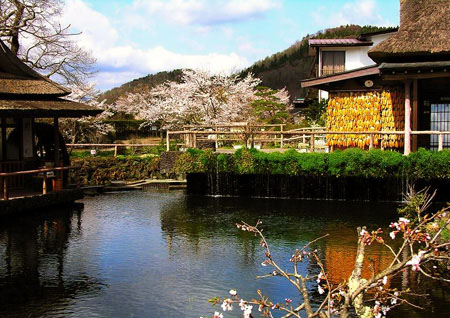 日本山梨县 忍野八海