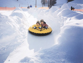BANKEI滑雪场一起体验冬季的乐趣