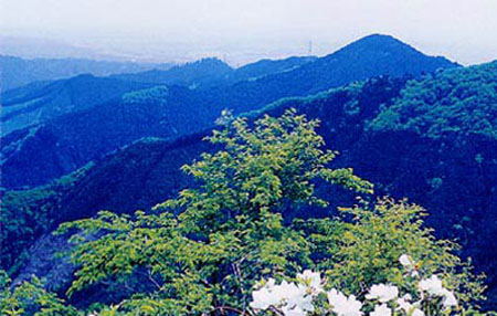 东京都西部的御岳山