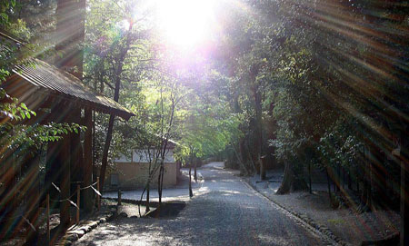 伊势神宫 日本神社的主要代表