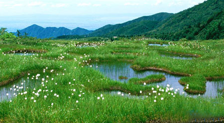 美丽的大自然美景 富山县室堂