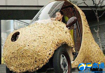 日本环保新技术： 废草制造汽油 竹制电汽车