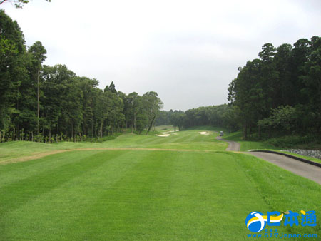 日本环保新技术： 废草制造汽油 竹制电汽车