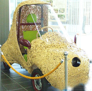 日本环保新技术： 废草制造汽油 竹制电汽车