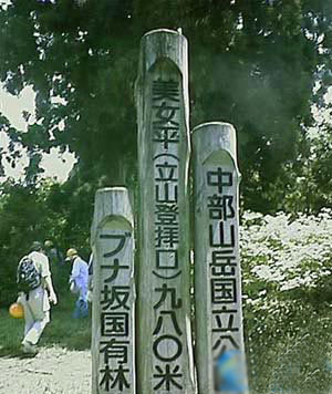 森林浴的森林之一 美女平