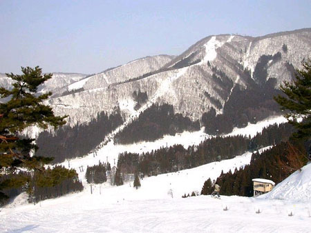 日本“六大高山滑雪渡假村”之一 野泽温泉滑雪场