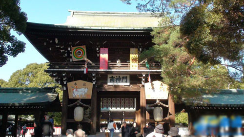 东京新年参拜最热门的神殿 明治神宫