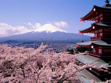 日本对自己国花樱花保护有加  攀折樱花将触犯刑法