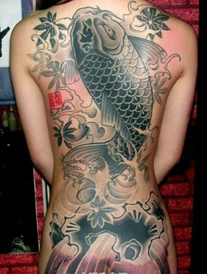 身价百万 日本国鱼锦鲤能活上百岁