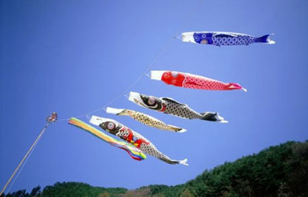 身价百万 日本国鱼锦鲤能活上百岁