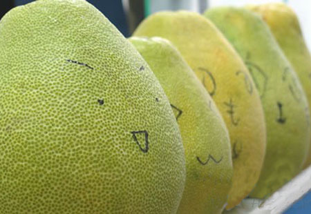 文化围炉谈 日本的冬至都有啥习俗？